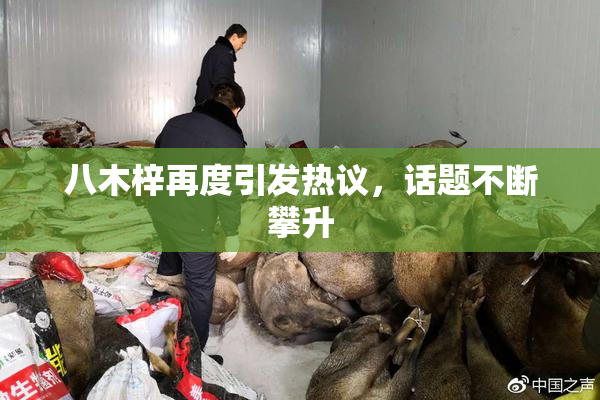 八木梓再度引发热议，话题不断攀升