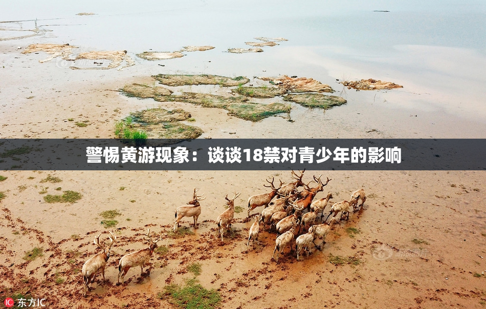 警惕黄游现象：谈谈18禁对青少年的影响