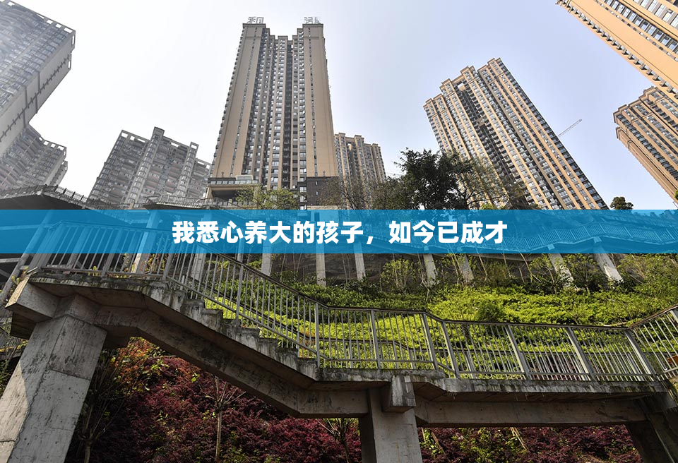 我悉心养大的孩子，如今已成才