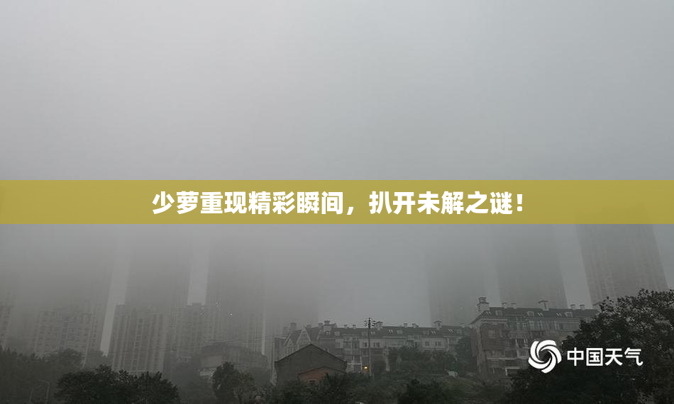 少萝重现精彩瞬间，扒开未解之谜！