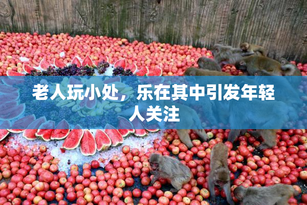 老人玩小处，乐在其中引发年轻人关注
