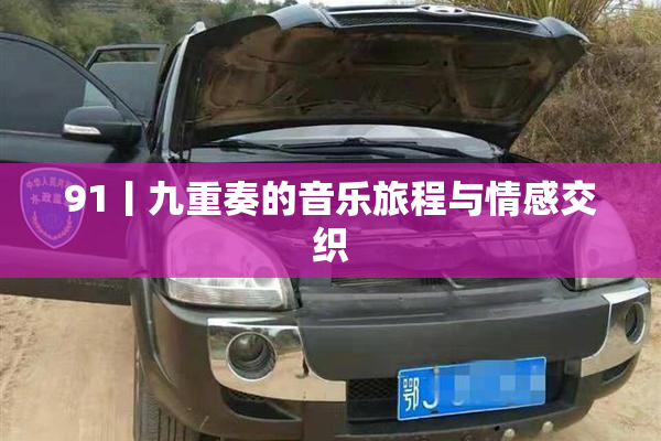 91丨九重奏的音乐旅程与情感交织