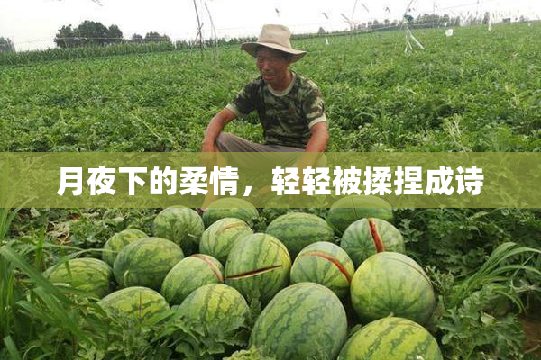 月夜下的柔情，轻轻被揉捏成诗