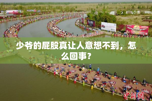 少爷的屁股真让人意想不到，怎么回事？
