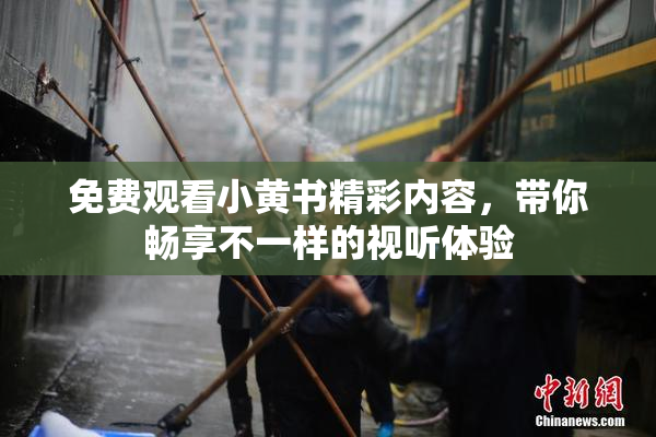 免费观看小黄书精彩内容，带你畅享不一样的视听体验