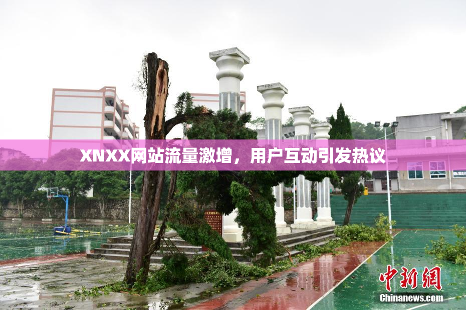 XNXX网站流量激增，用户互动引发热议