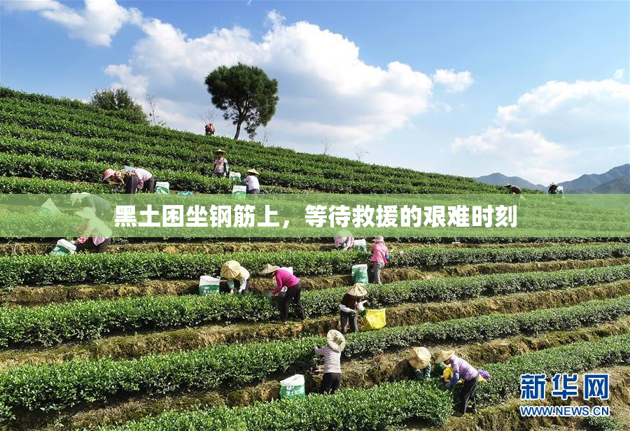 黑土困坐钢筋上，等待救援的艰难时刻