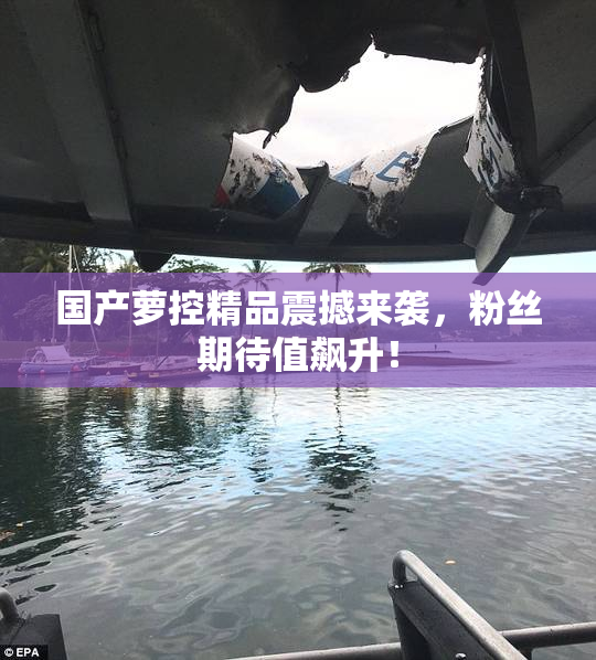 国产萝控精品震撼来袭，粉丝期待值飙升！