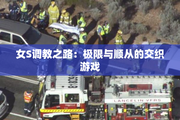 女S调教之路：极限与顺从的交织游戏