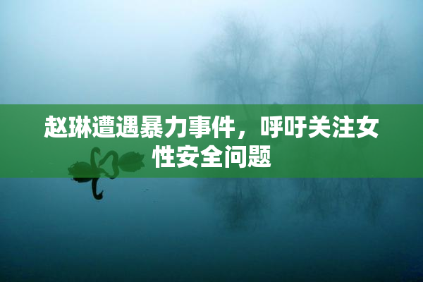 赵琳遭遇暴力事件，呼吁关注女性安全问题