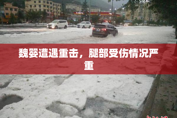 魏婴遭遇重击，腿部受伤情况严重