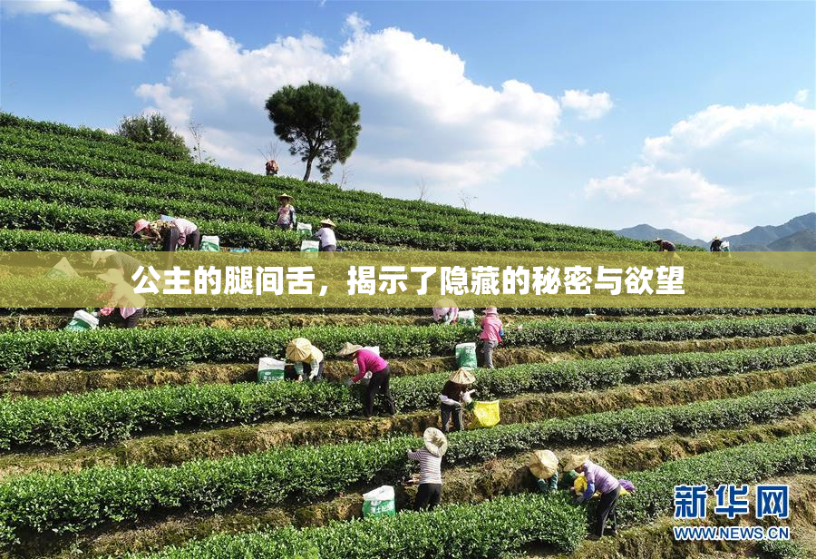 公主的腿间舌，揭示了隐藏的秘密与欲望