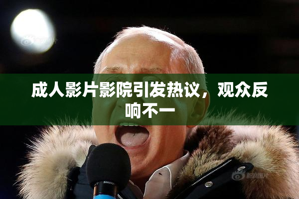 成人影片影院引发热议，观众反响不一