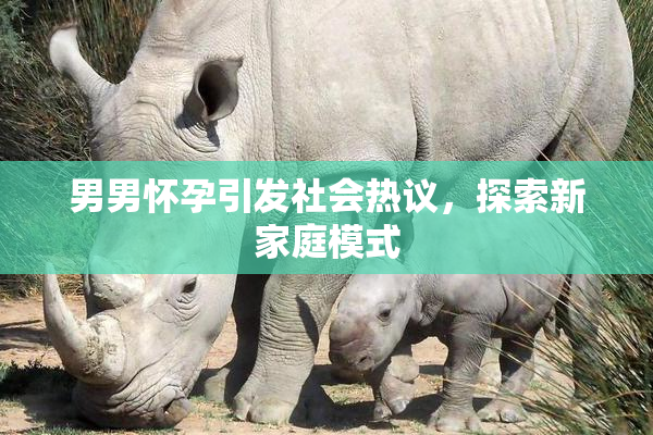 男男怀孕引发社会热议，探索新家庭模式