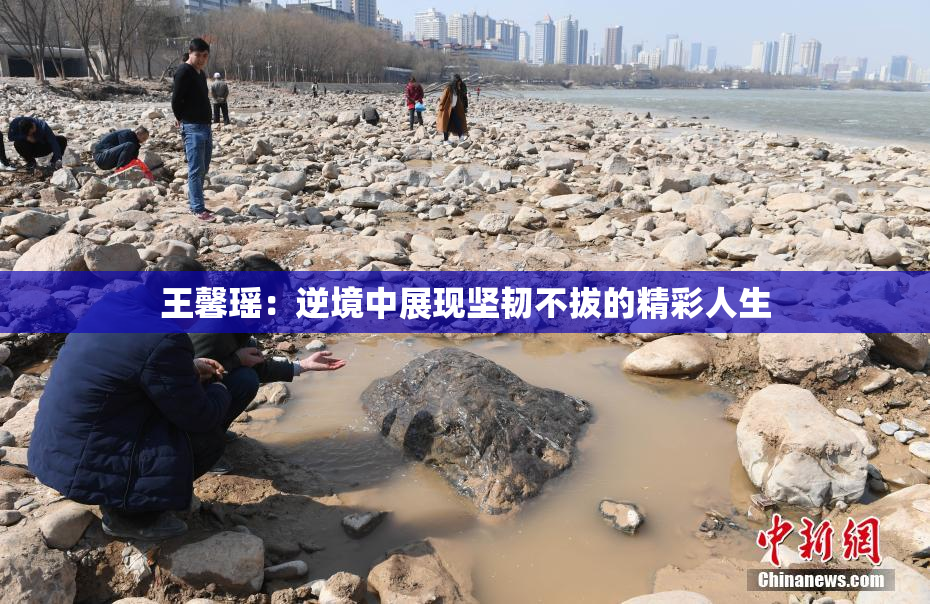 王馨瑶：逆境中展现坚韧不拔的精彩人生