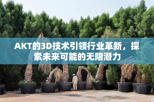 AKT的3D技术引领行业革新，探索未来可能的无限潜力