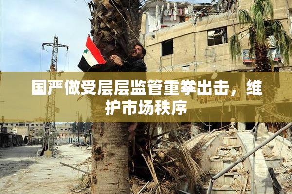 国严做受层层监管重拳出击，维护市场秩序