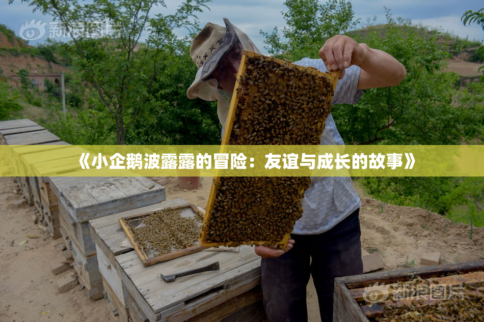 《小企鹅波露露的冒险：友谊与成长的故事》
