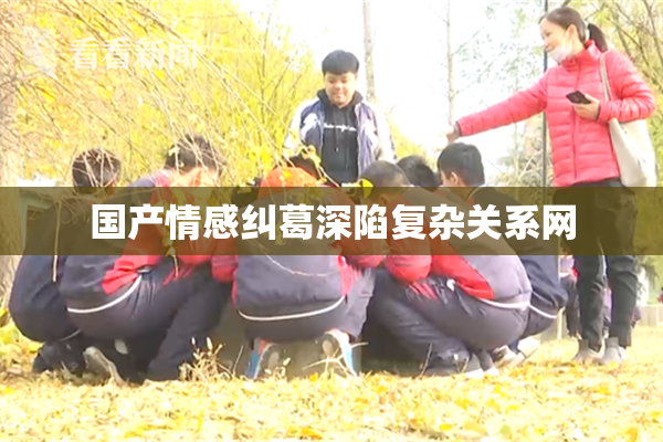 国产情感纠葛深陷复杂关系网