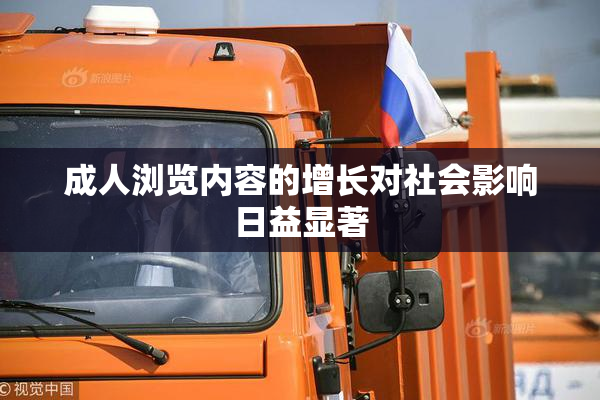 成人浏览内容的增长对社会影响日益显著
