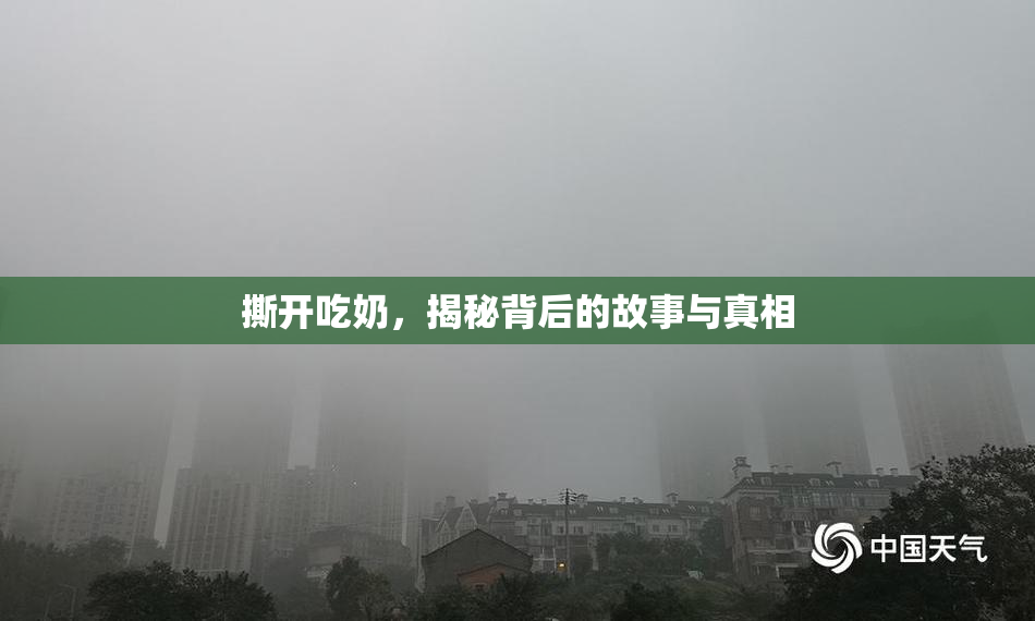 撕开吃奶，揭秘背后的故事与真相