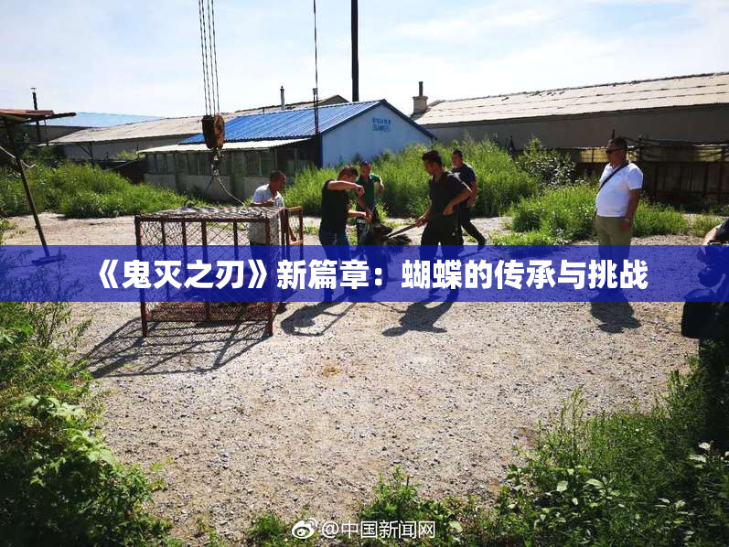 《鬼灭之刃》新篇章：蝴蝶的传承与挑战