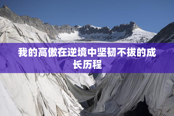 我的高傲在逆境中坚韧不拔的成长历程
