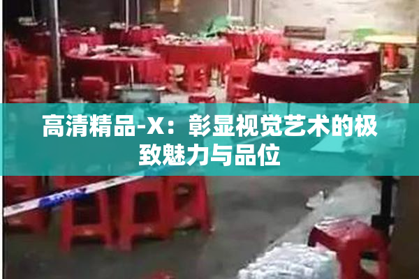 高清精品-X：彰显视觉艺术的极致魅力与品位