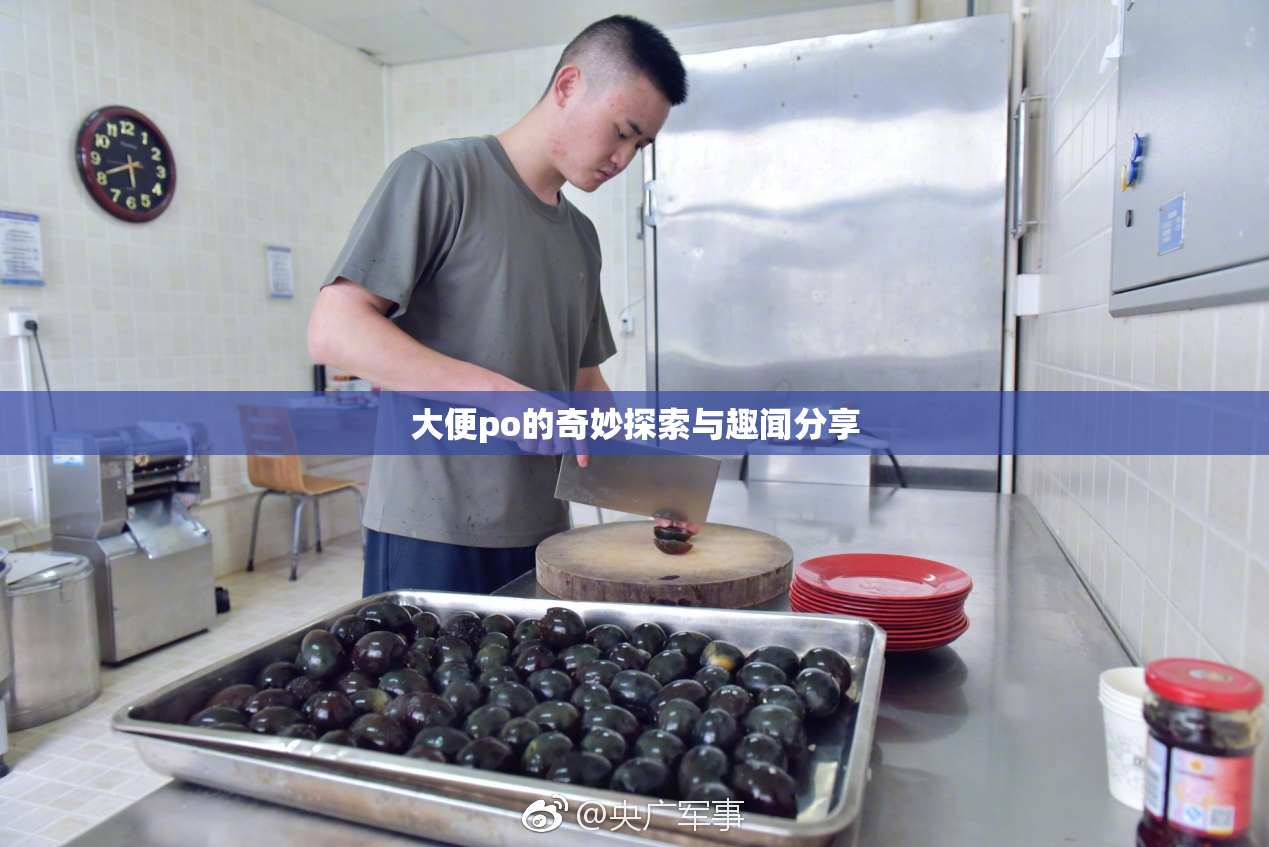 大便po的奇妙探索与趣闻分享