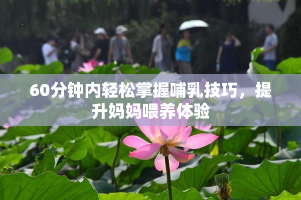 60分钟内轻松掌握哺乳技巧，提升妈妈喂养体验