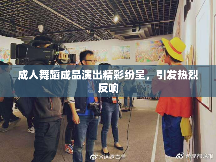 成人舞蹈成品演出精彩纷呈，引发热烈反响