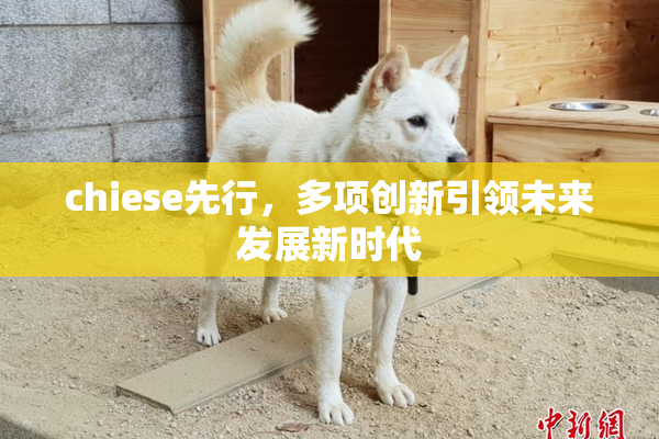 chiese先行，多项创新引领未来发展新时代