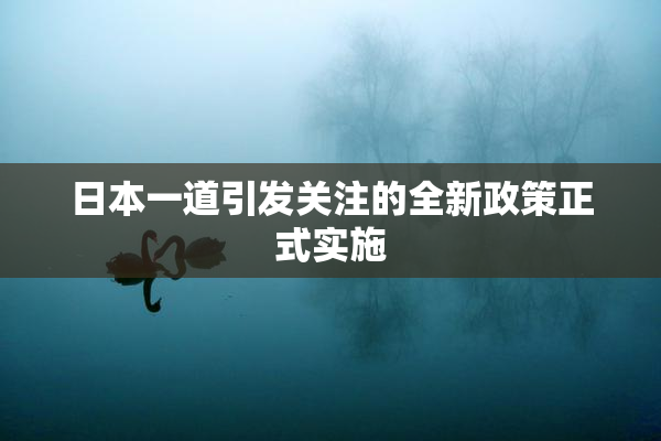 日本一道引发关注的全新政策正式实施