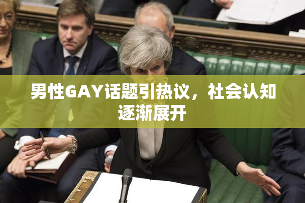 男性GAY话题引热议，社会认知逐渐展开