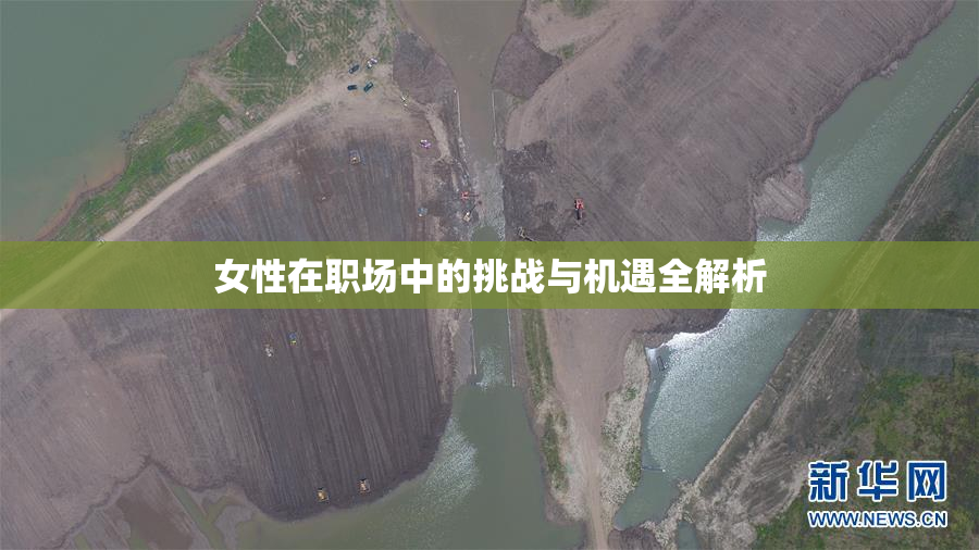 女性在职场中的挑战与机遇全解析