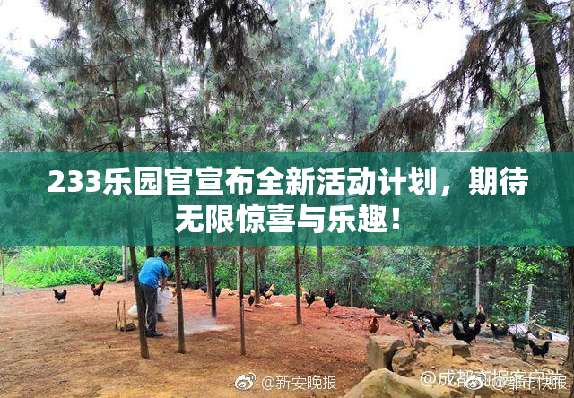 233乐园官宣布全新活动计划，期待无限惊喜与乐趣！
