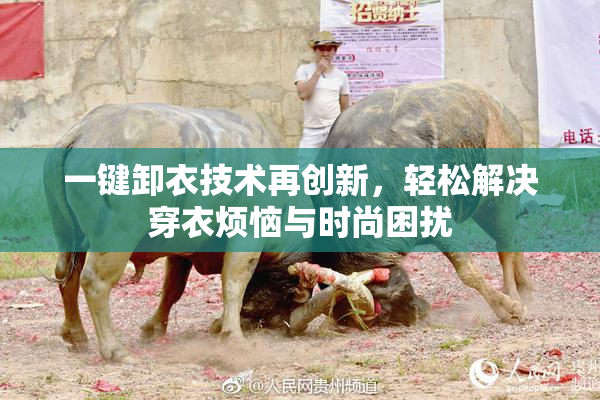 一键卸衣技术再创新，轻松解决穿衣烦恼与时尚困扰