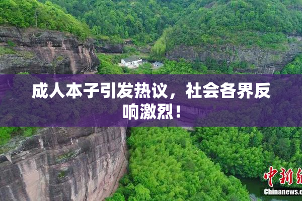 成人本子引发热议，社会各界反响激烈！