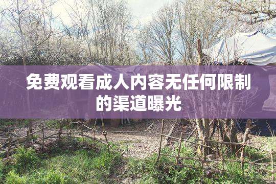 免费观看成人内容无任何限制的渠道曝光