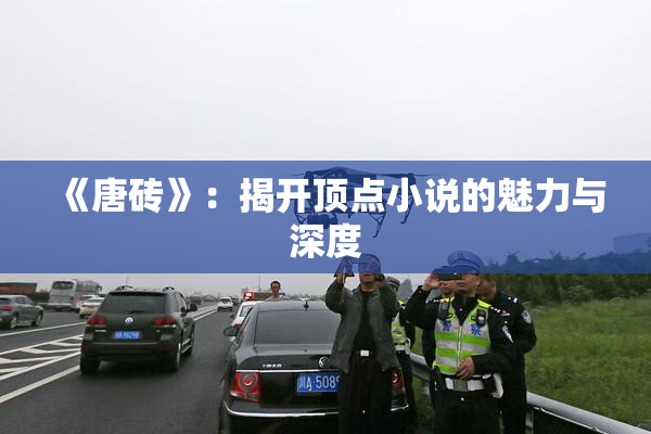 《唐砖》：揭开顶点小说的魅力与深度