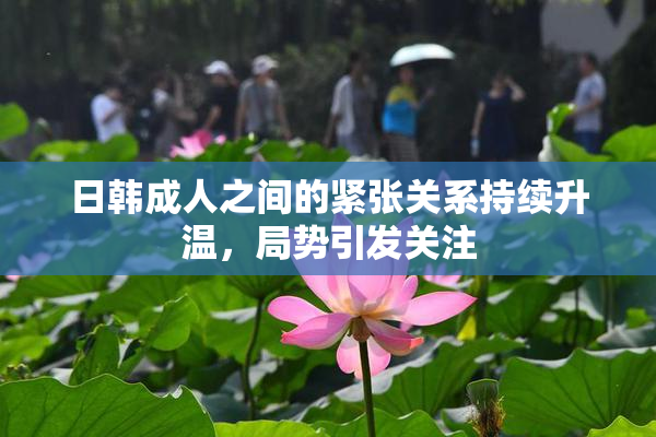 日韩成人之间的紧张关系持续升温，局势引发关注