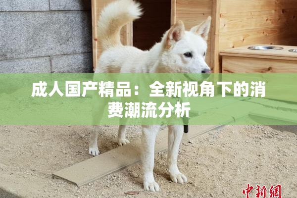 成人国产精品：全新视角下的消费潮流分析