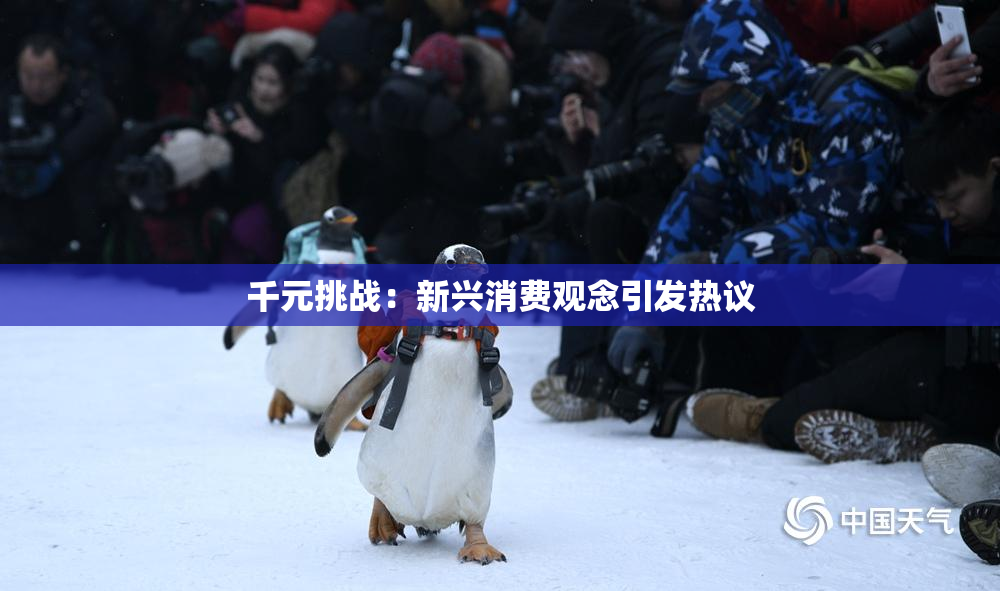 千元挑战：新兴消费观念引发热议