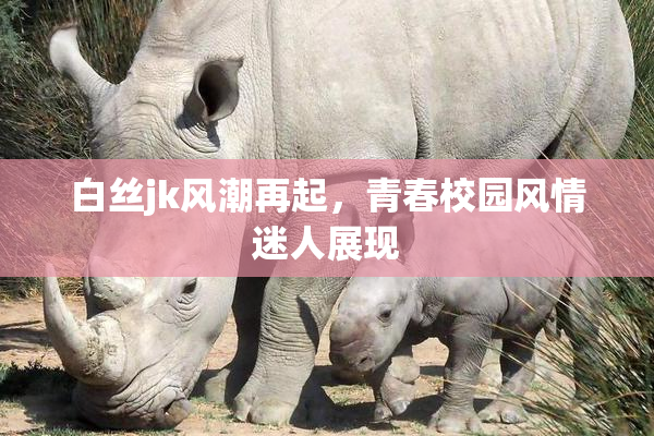 白丝jk风潮再起，青春校园风情迷人展现
