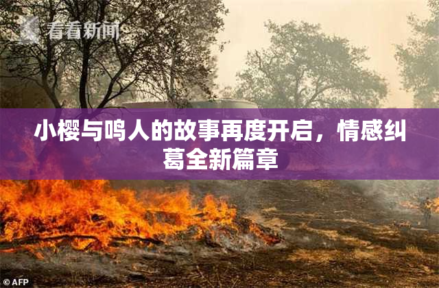 小樱与鸣人的故事再度开启，情感纠葛全新篇章