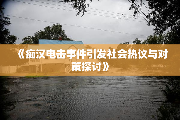 《痴汉电击事件引发社会热议与对策探讨》