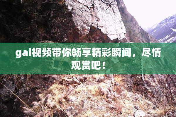 gai视频带你畅享精彩瞬间，尽情观赏吧！