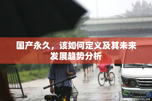 国产永久，该如何定义及其未来发展趋势分析