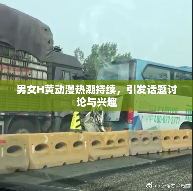 男女H黄动漫热潮持续，引发话题讨论与兴趣