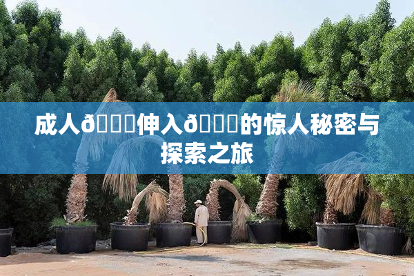 成人🍆伸入🍑的惊人秘密与探索之旅